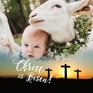 Meet your Posher, Nathan